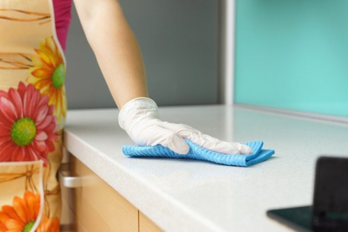 Strawberry Hill carpet cleaning specialists working in a home interior
