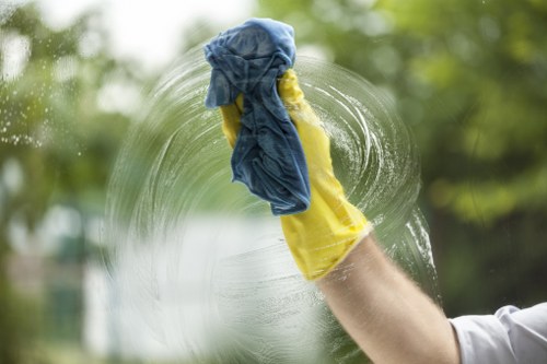 Cleaning pet urine stains and odours from upholstery in Strawberry Hill