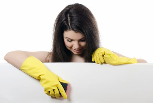 Enzymatic cleaning process for pet odour removal in Strawberry Hill