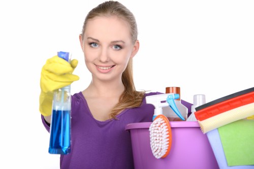 Deep carpet treatment for pet stain odour removal in Strawberry Hill home