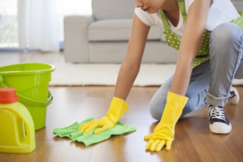 Common household stains on upholstery and rugs in Strawberry Hill
